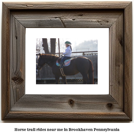 horse trail rides near me in Brookhaven, Pennsylvania